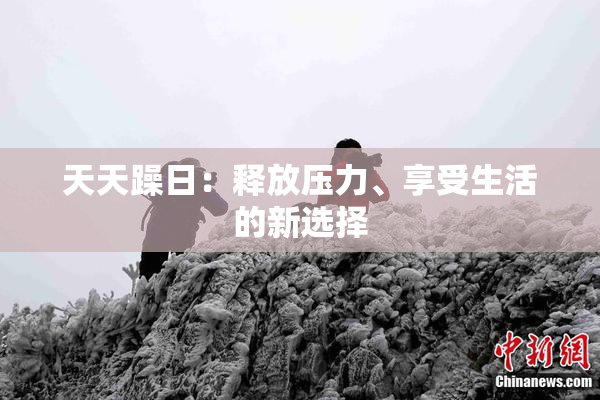 天天躁日：释放压力、享受生活的新选择