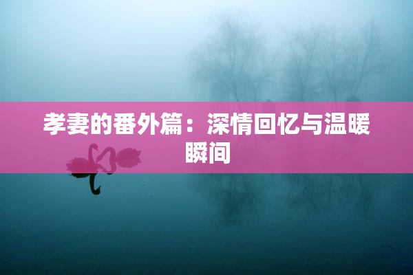 孝妻的番外篇：深情回忆与温暖瞬间
