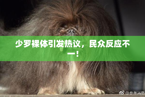 少罗裸体引发热议，民众反应不一！
