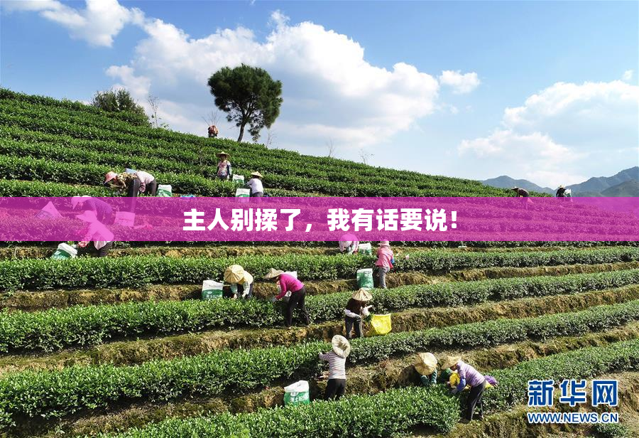 主人别揉了，我有话要说！