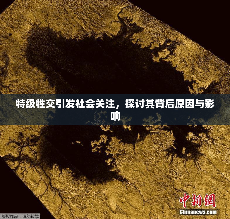 特级牲交引发社会关注，探讨其背后原因与影响