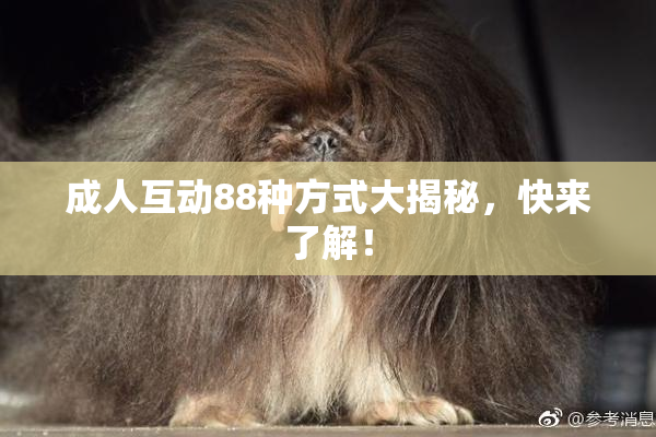 成人互动88种方式大揭秘，快来了解！
