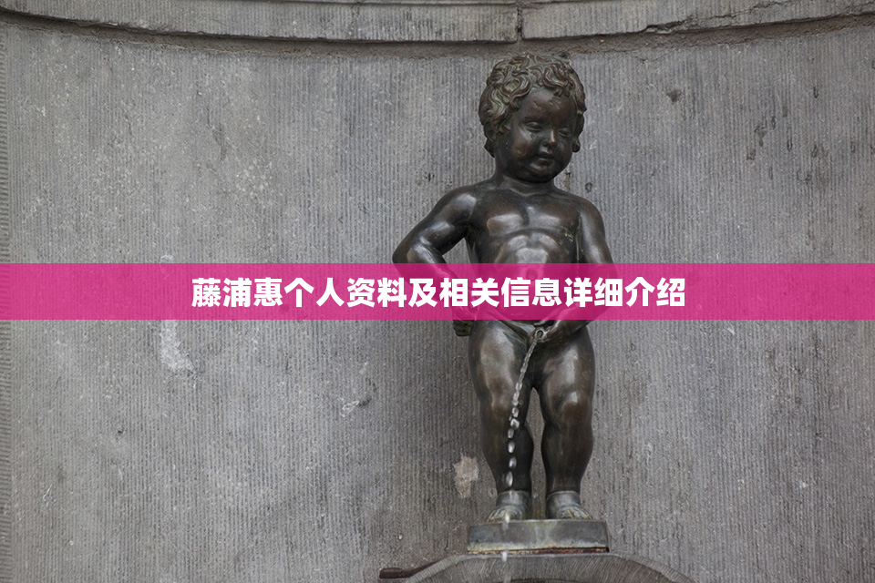 藤浦惠个人资料及相关信息详细介绍