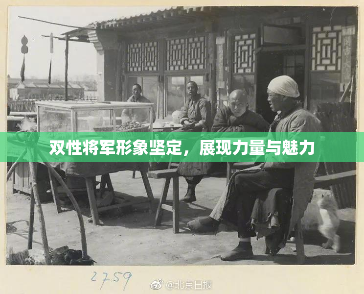 双性将军形象坚定，展现力量与魅力
