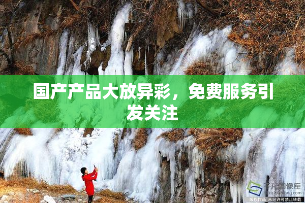 国产产品大放异彩，免费服务引发关注