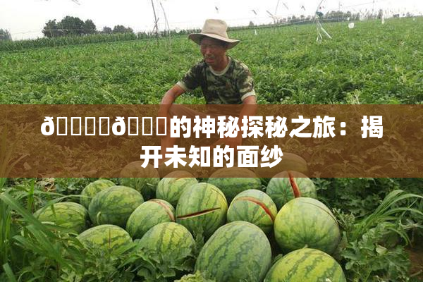 🔞‌🍌的神秘探秘之旅：揭开未知的面纱
