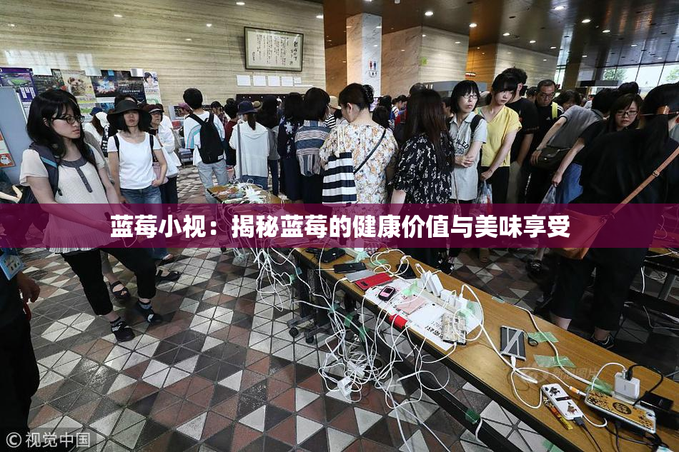 蓝莓小视：揭秘蓝莓的健康价值与美味享受