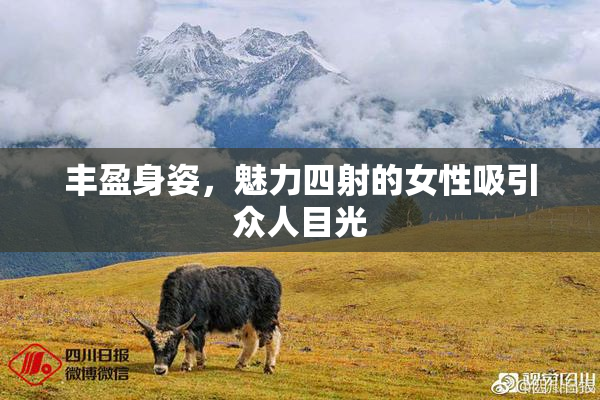 丰盈身姿，魅力四射的女性吸引众人目光