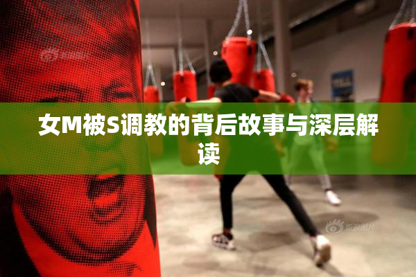 女M被S调教的背后故事与深层解读