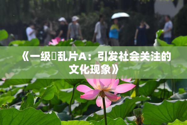 《一级婬乱片A：引发社会关注的文化现象》