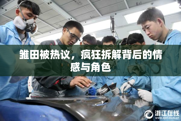 雏田被热议，疯狂拆解背后的情感与角色