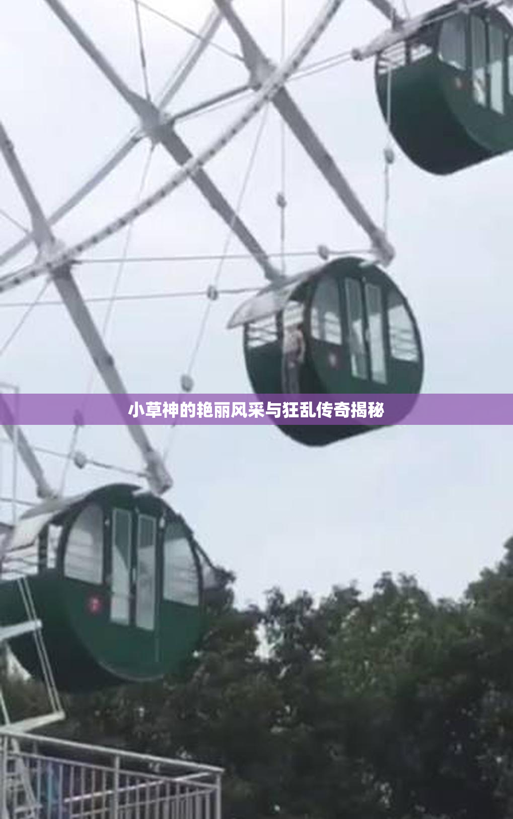 小草神的艳丽风采与狂乱传奇揭秘
