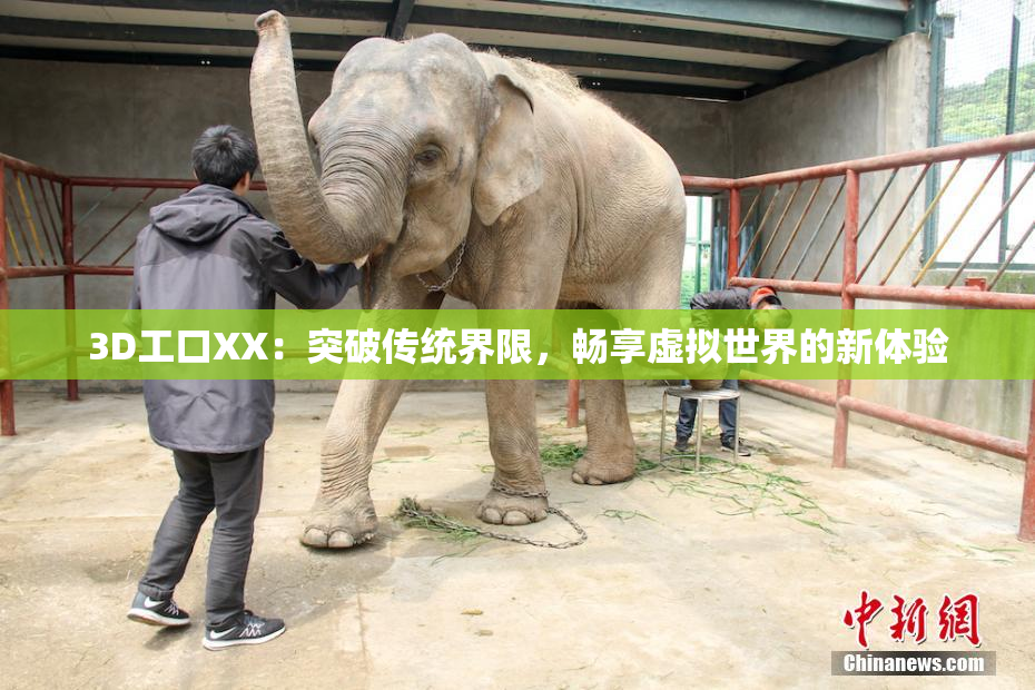 3D工口XX：突破传统界限，畅享虚拟世界的新体验