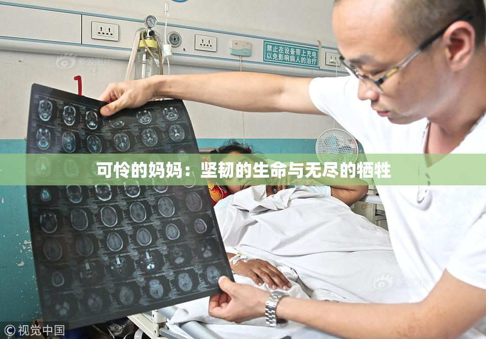 可怜的妈妈：坚韧的生命与无尽的牺牲