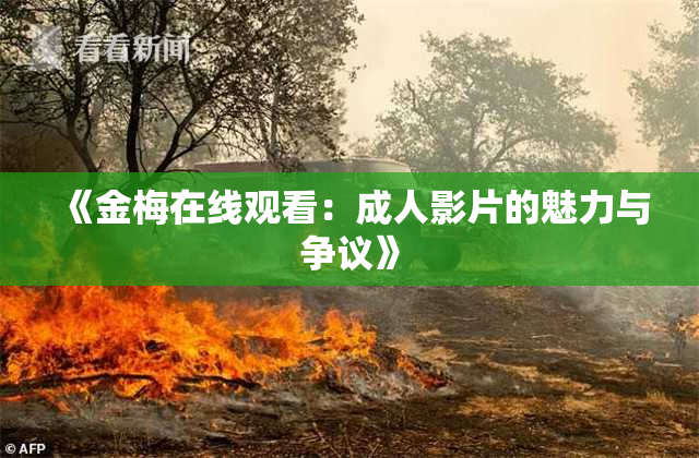 《金梅在线观看：成人影片的魅力与争议》