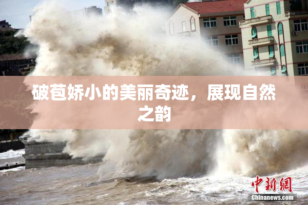 破苞娇小的美丽奇迹，展现自然之韵