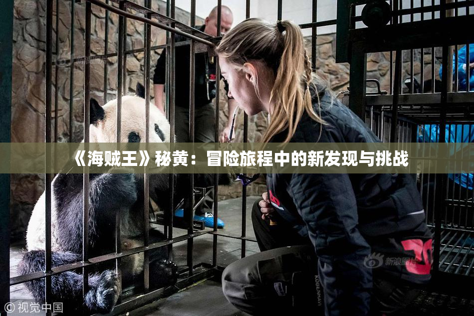 《海贼王》秘黄：冒险旅程中的新发现与挑战