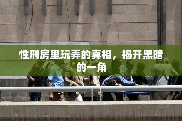性刑房里玩弄的真相，揭开黑暗的一角