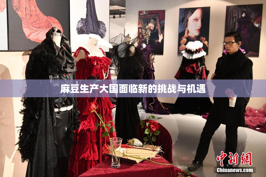 麻豆生产大国面临新的挑战与机遇