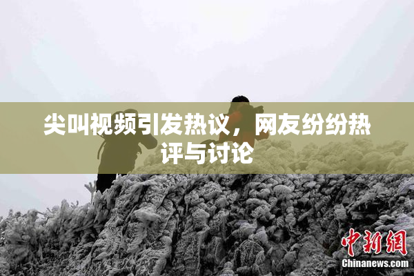 尖叫视频引发热议，网友纷纷热评与讨论