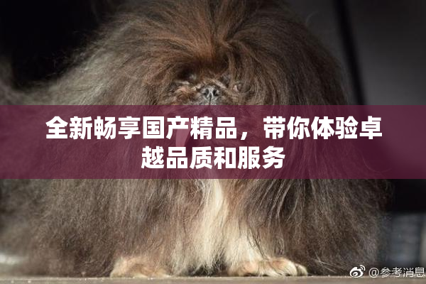 全新畅享国产精品，带你体验卓越品质和服务