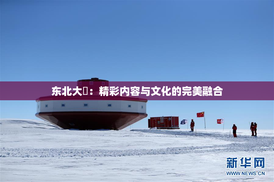 东北大鷄：精彩内容与文化的完美融合