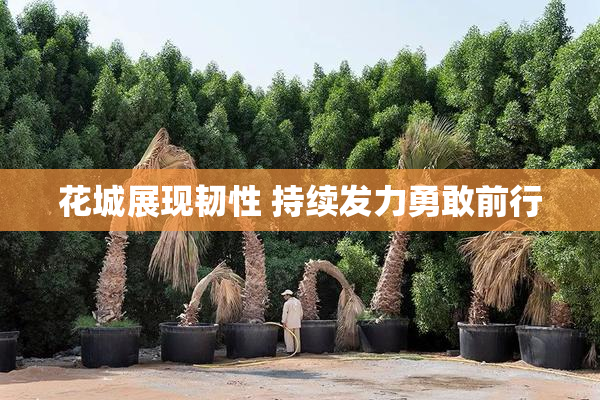 花城展现韧性 持续发力勇敢前行
