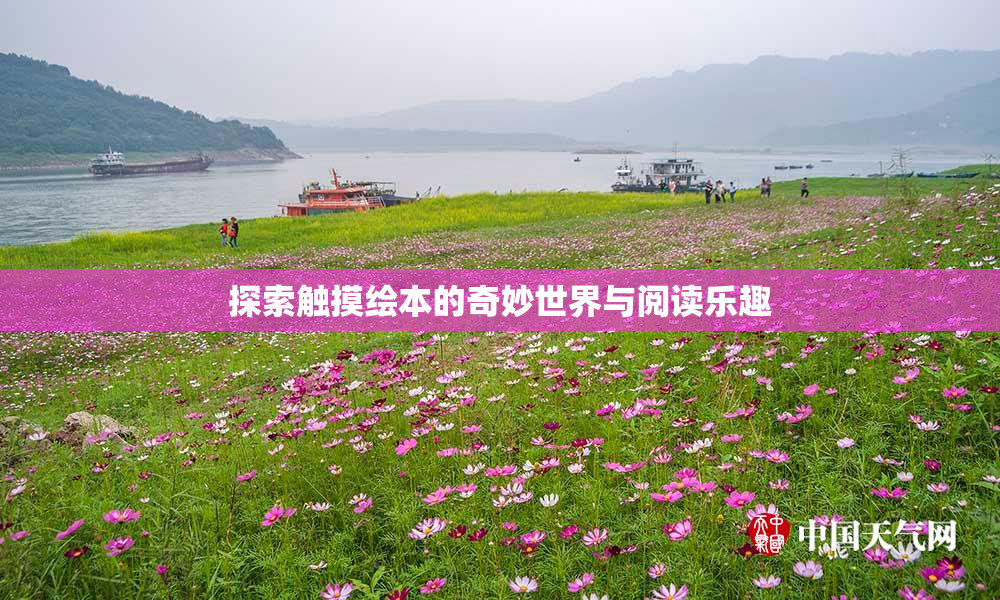 探索触摸绘本的奇妙世界与阅读乐趣