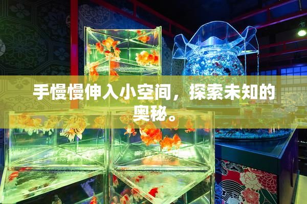 手慢慢伸入小空间，探索未知的奥秘。
