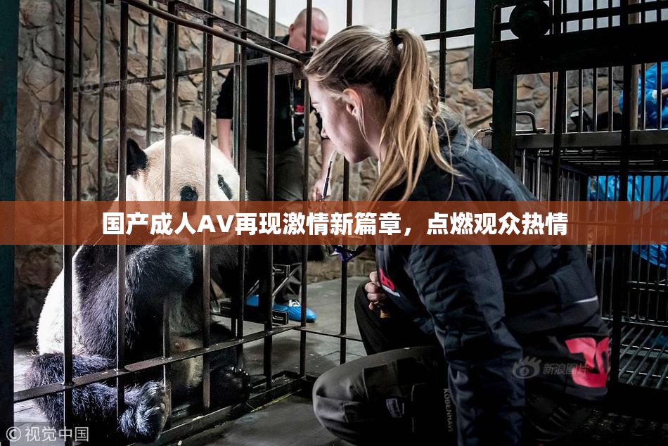国产成人AV再现激情新篇章，点燃观众热情