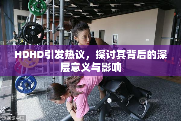 HDHD引发热议，探讨其背后的深层意义与影响