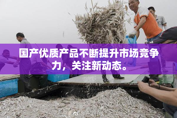 国产优质产品不断提升市场竞争力，关注新动态。