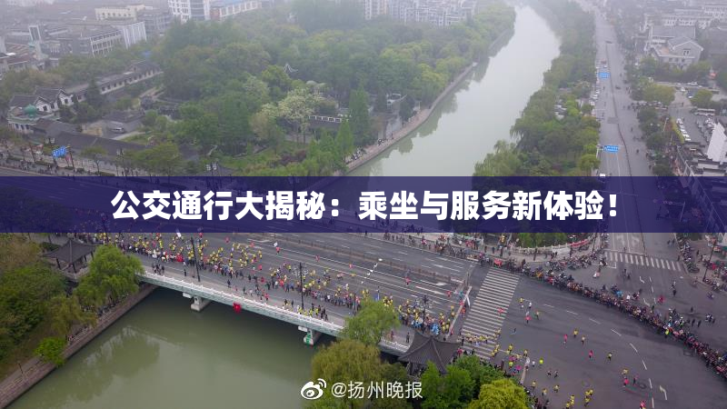 公交通行大揭秘：乘坐与服务新体验！