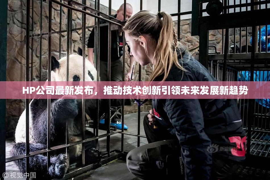 HP公司最新发布，推动技术创新引领未来发展新趋势