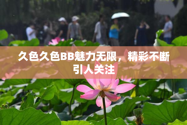 久色久色BB魅力无限，精彩不断引人关注