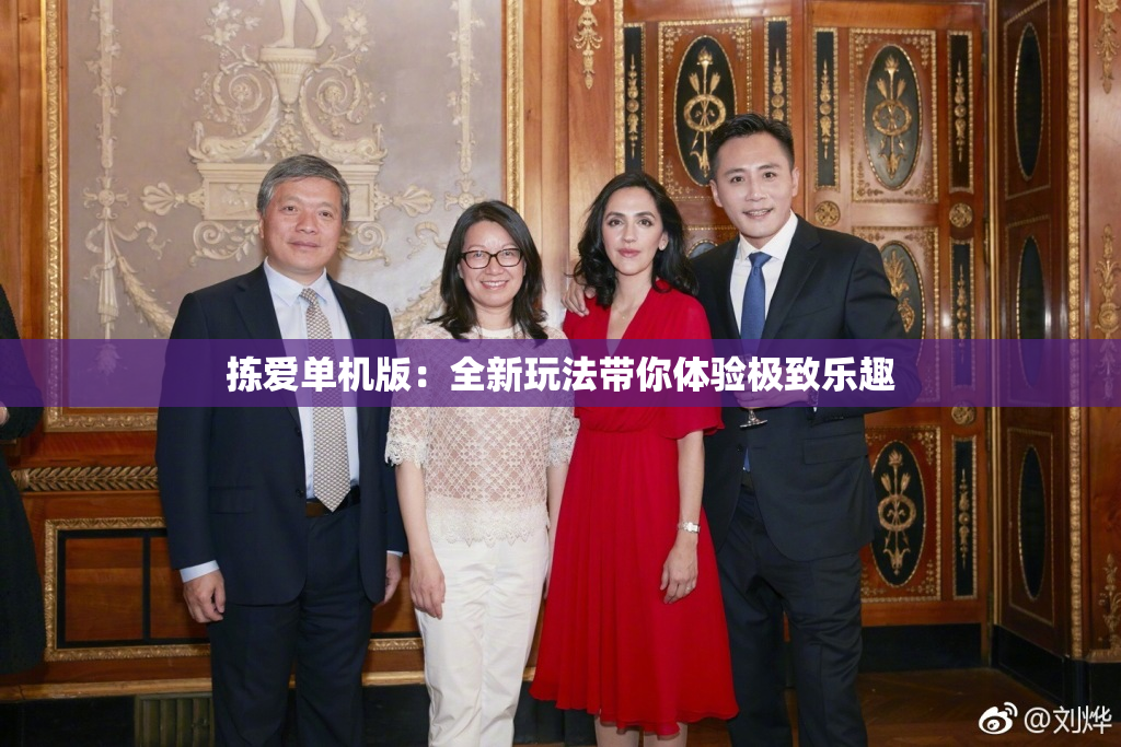 拣爱单机版：全新玩法带你体验极致乐趣