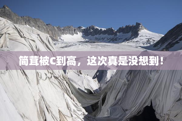 简茸被C到高，这次真是没想到！