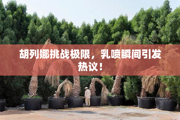 胡列娜挑战极限，乳喷瞬间引发热议！