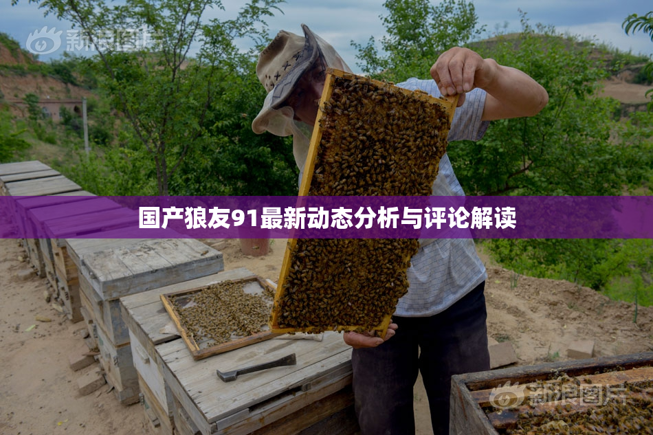 国产狼友91最新动态分析与评论解读