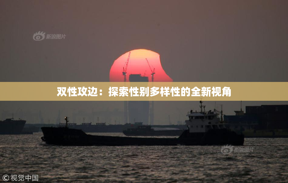 双性攻边：探索性别多样性的全新视角