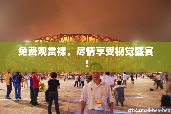 免费观赏裸，尽情享受视觉盛宴！