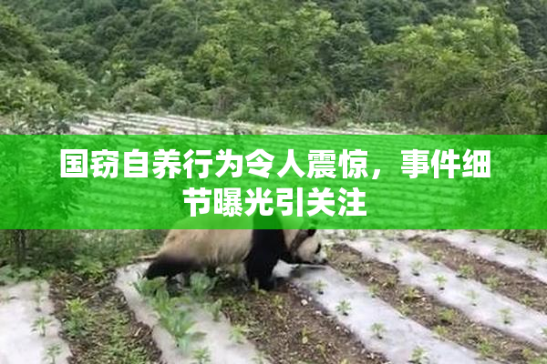 国窃自养行为令人震惊，事件细节曝光引关注