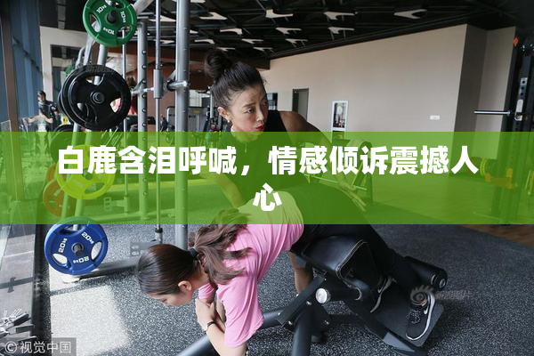 白鹿含泪呼喊，情感倾诉震撼人心