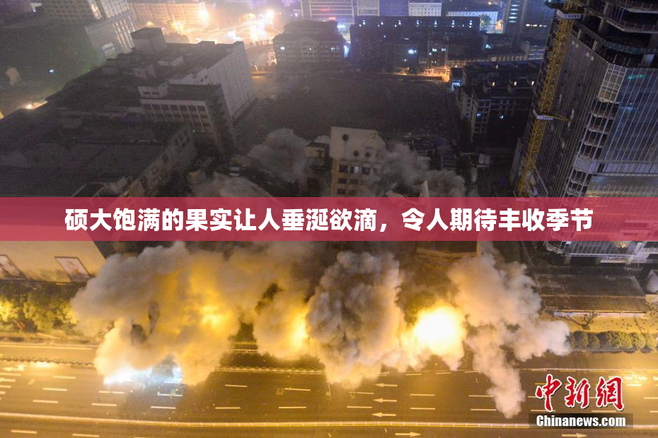 硕大饱满的果实让人垂涎欲滴，令人期待丰收季节