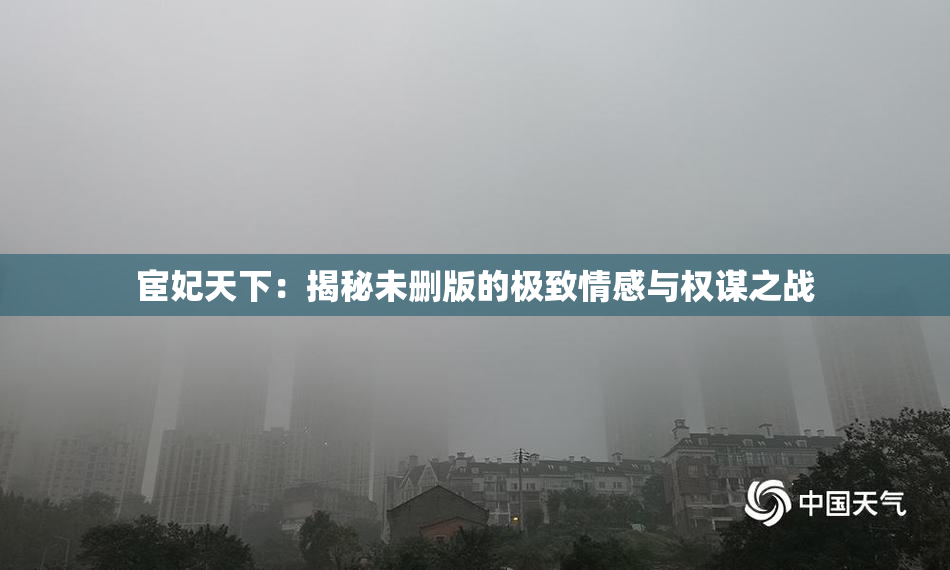 宦妃天下：揭秘未删版的极致情感与权谋之战