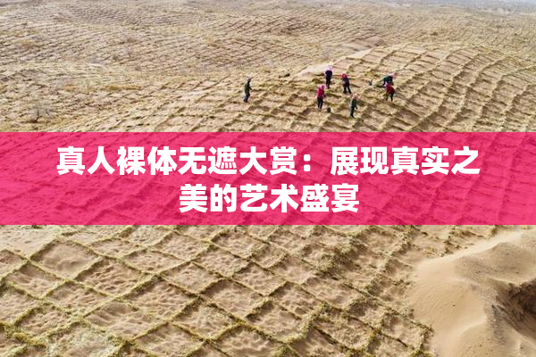真人裸体无遮大赏：展现真实之美的艺术盛宴