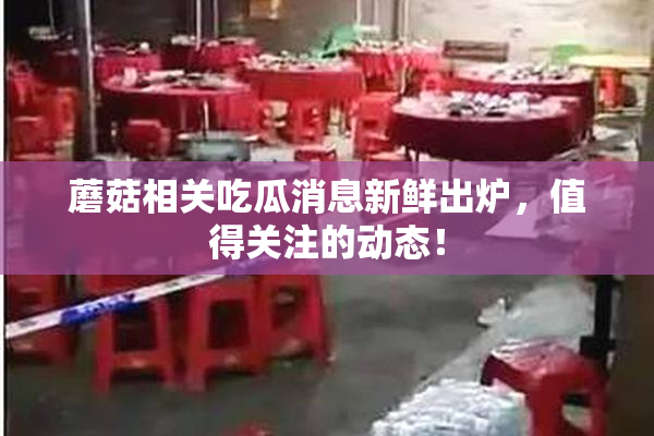 蘑菇相关吃瓜消息新鲜出炉，值得关注的动态！
