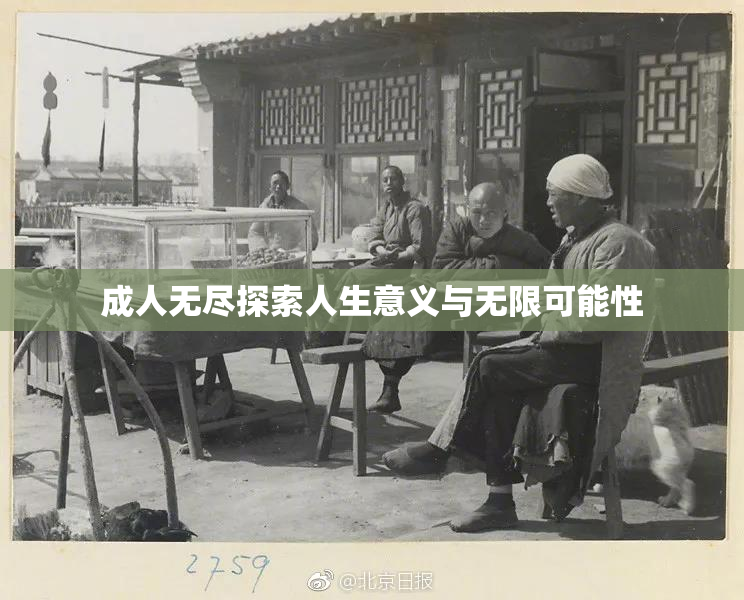 成人无尽探索人生意义与无限可能性