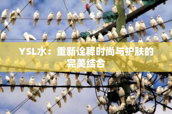 YSL水：重新诠释时尚与护肤的完美结合