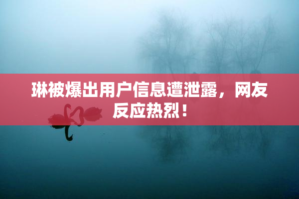 琳被爆出用户信息遭泄露，网友反应热烈！